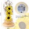 Sunflower in Glass Dome Express Your Love with Enchanted Sunflower Lamp for her on Christmas Day,Mother's Day,Valentine's Day, Anniversary-Yellow